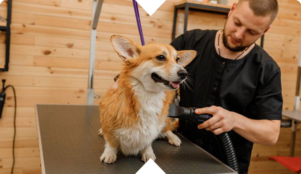 Xentric-Lomas-Servicios-PET
